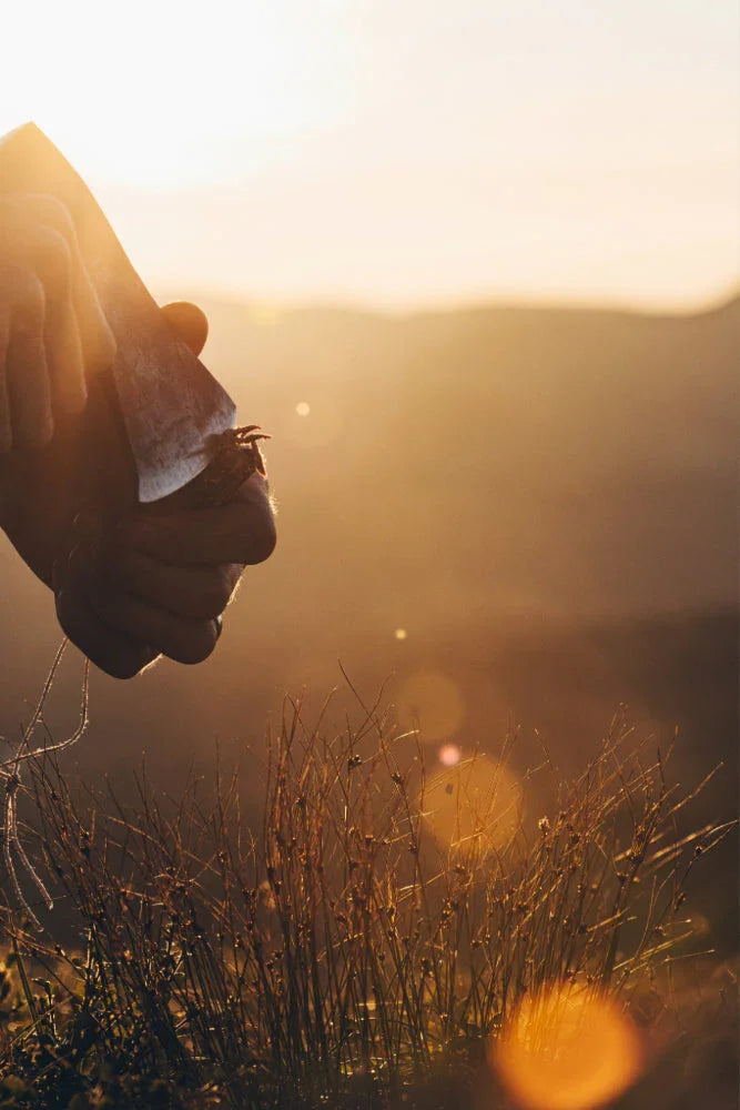 The Story of Axeman.ca — Where Tradition Meets Precision