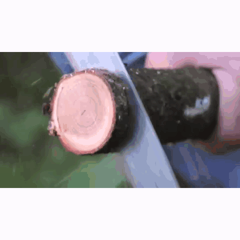 ZUBAT 330 (LG Teeth) Curved Pruning Saw - Axeman.ca