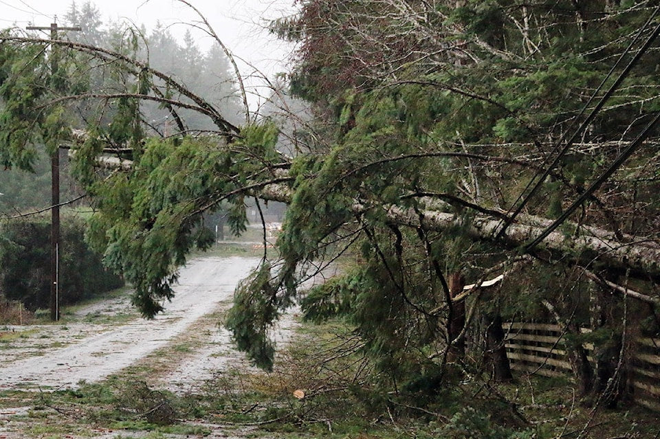 Winter 2026-2027 Forecast Canada: Strong El Niño, Storms & Snow