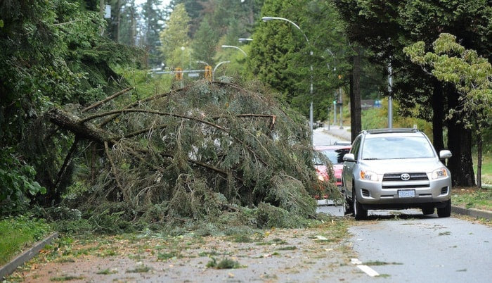 Winter storm preparedness kit including axes, saws, and safety gea
