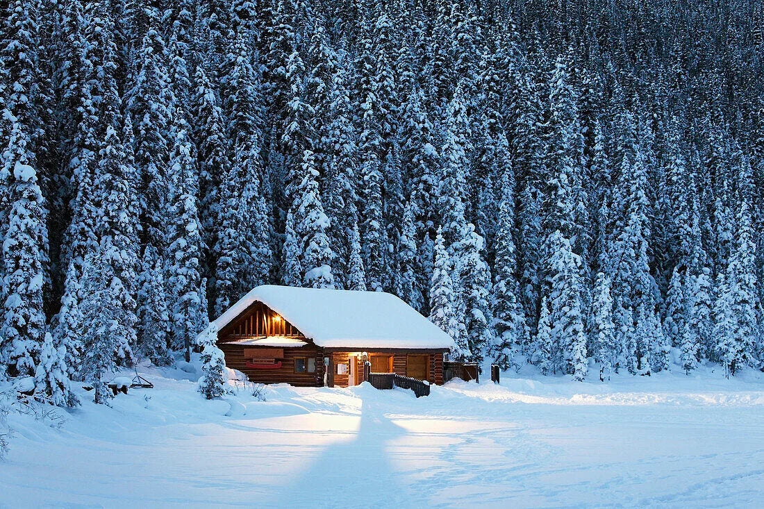 The Perfect Tools for Your Cabin: Winter Camping Essentials - Axeman.ca