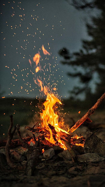 Split Firewood in Summer: Best Axes for Winter Prep | Axeman.ca