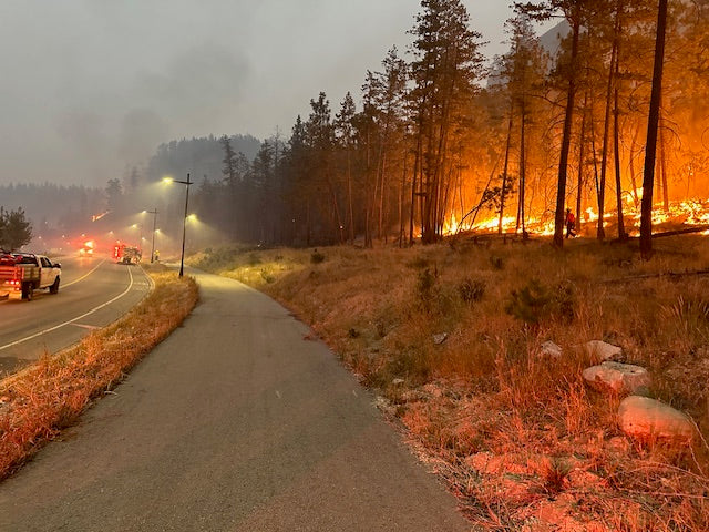 Protect Your Property in 2026: How to Build Effective Defensible Space Using Quality Felling and Splitting Axes