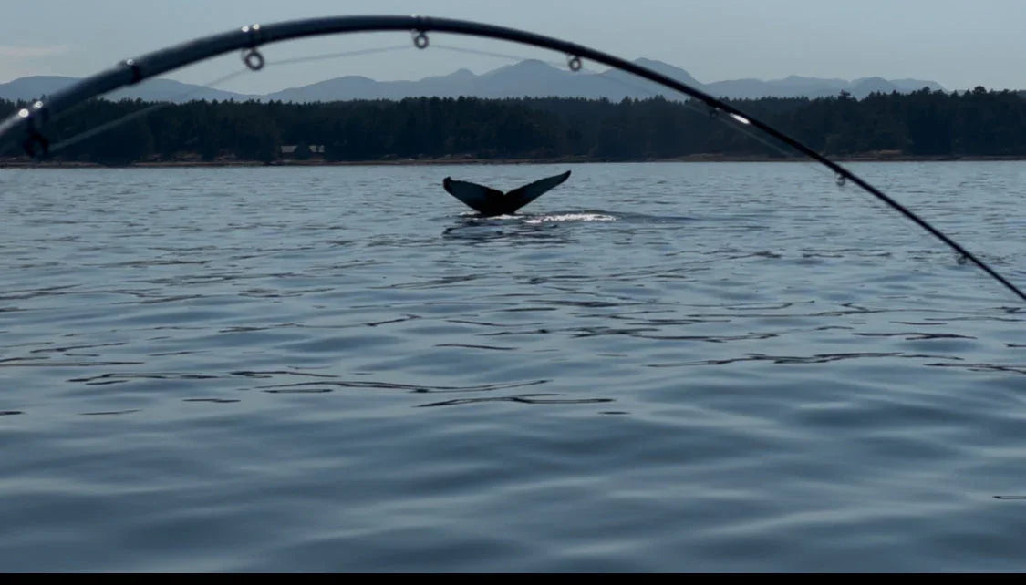 Not Just Axes – A Day in the Life of the Axeman