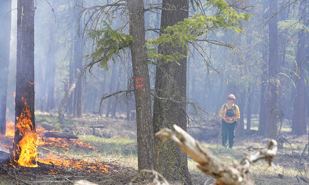 A wildland firefighter in yellow Nomex gear and helmet stands amid thick smoke, facing a raging wildfire with flames in the background. 