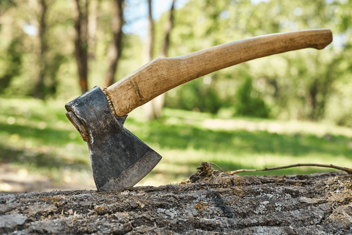 Essential Tips for Storing Your Axes Safely - Axeman.ca