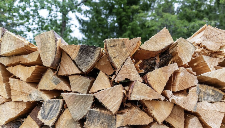 The Best Firewood to Burn Across Canada