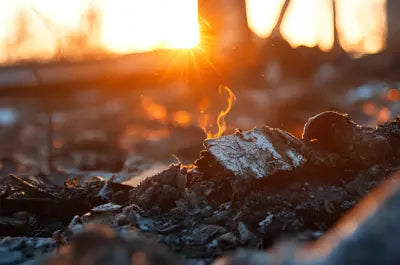 Early 2026 Holdover/Zombie Fires Watch: March/April Signs in BC + Immediate Fuel-Reduction Tools & Scotty Gear Checklist - Axeman.ca