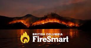 The Top 10 Tools for Wildfire Preparedness: Protect Your Property