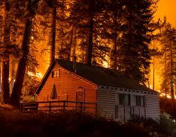 Protecting Your Home from Wildfire: Essential Steps and Tools - Axeman.ca