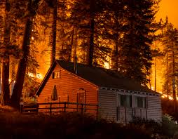 Protecting Your Home from Wildfire: Essential Steps and Tools - Axeman.ca