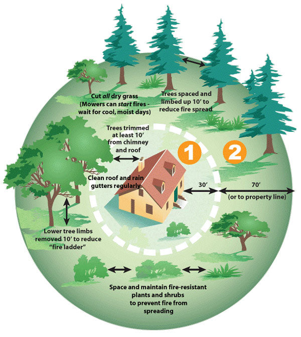 2026 Canadian Wildfire Season Outlook: Elevated Risk in BC – Essential Tools and Property Prep Guide