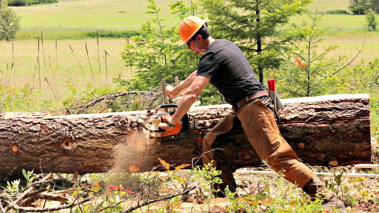Spring into Sawmilling: Why Spring is Prime Time for Log Milling and How Axeman.ca’s Tools Make It Epic