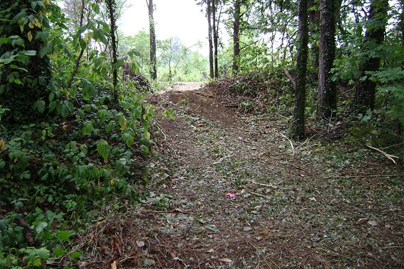 Trail Clearing: Why It's Essential for Safety, Access, and the Environment - Axeman.ca