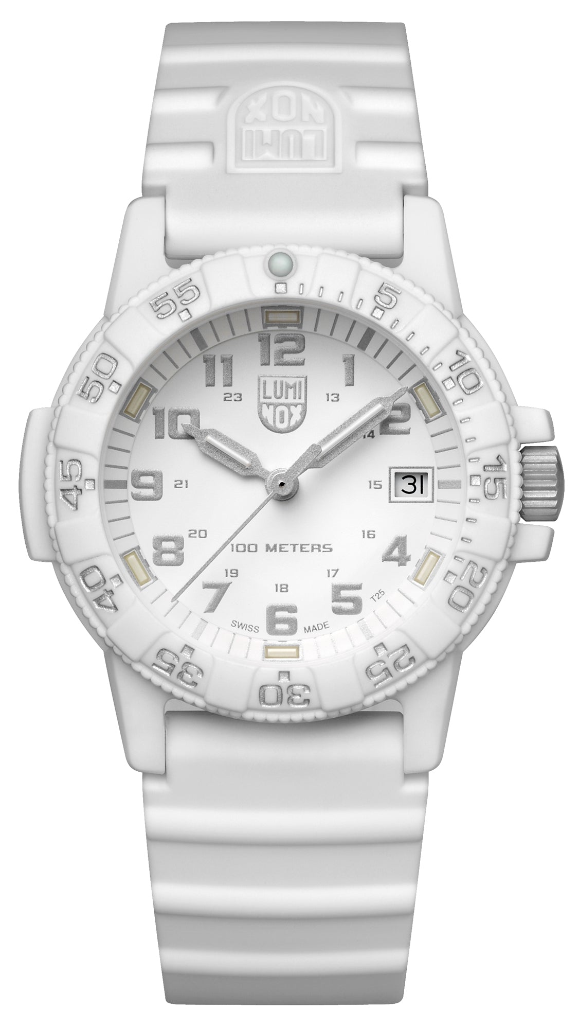 Tortue luth, 39 mm - 0307.WO