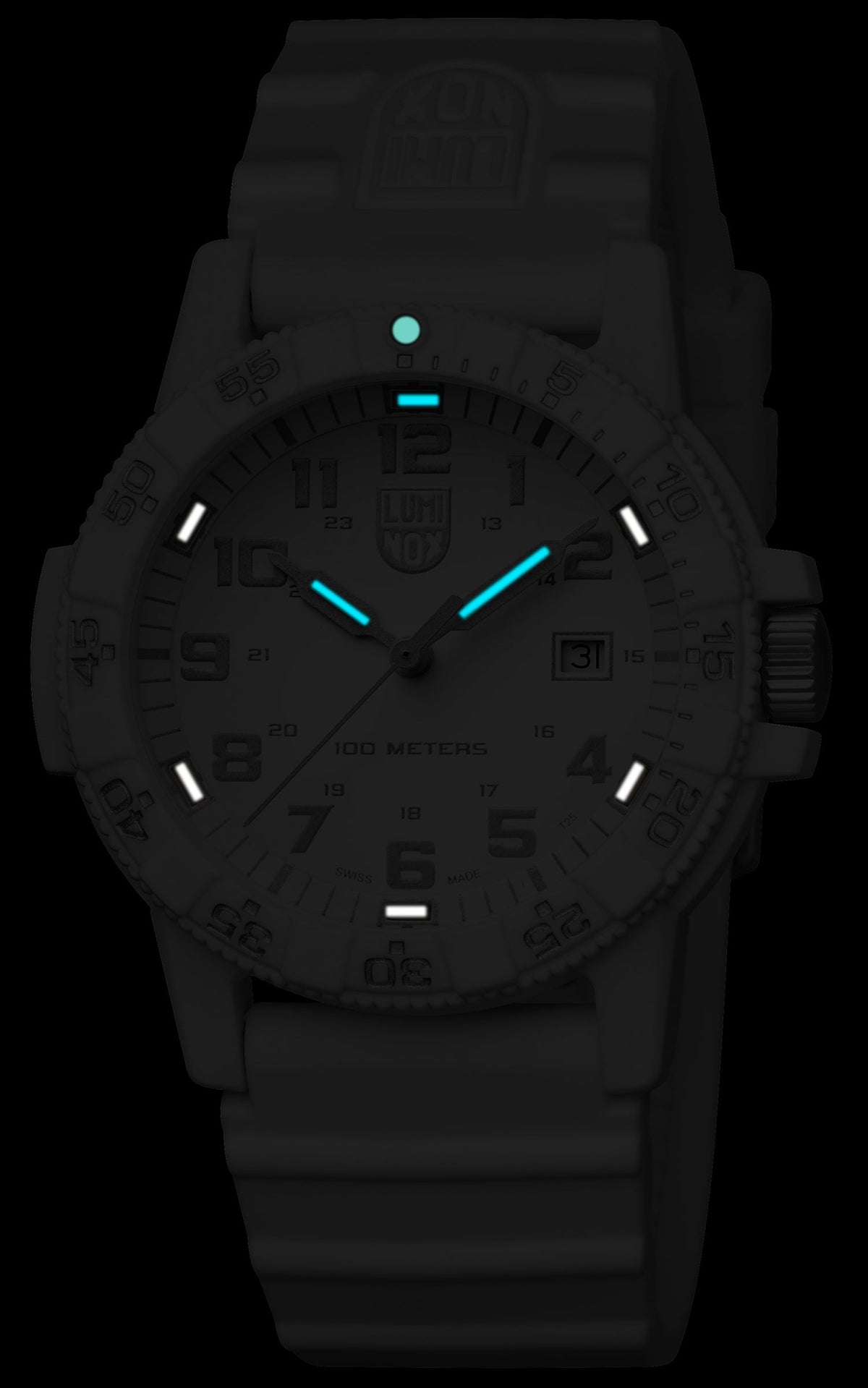 Tortue luth, 39 mm - 0307.WO