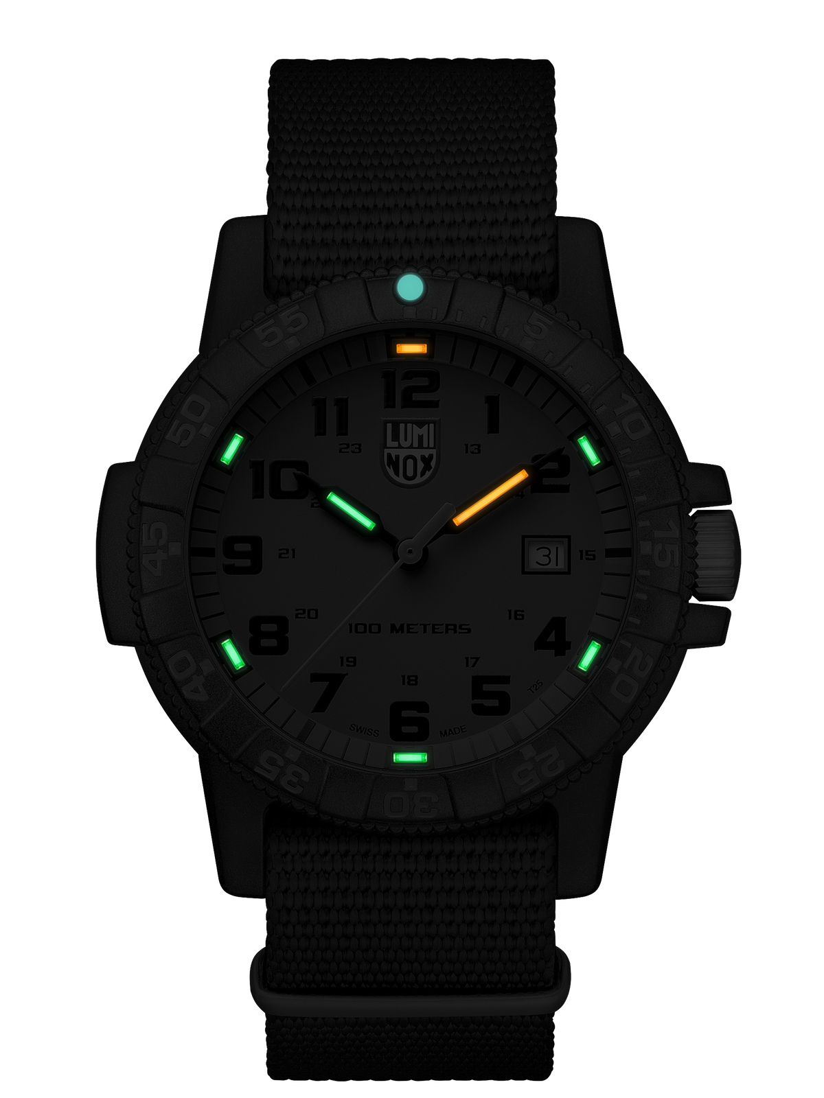 Tortue luth géante, 44 mm - 0337