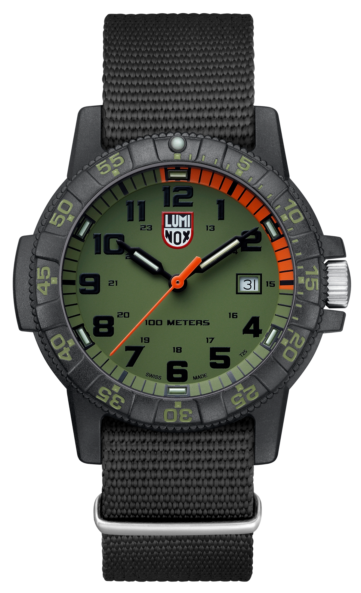 Tortue luth géante, 44 mm - 0337