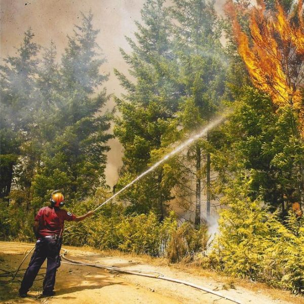 "Wildland Firefighting Gear Canada – Axeman Wildfire Tools Collection