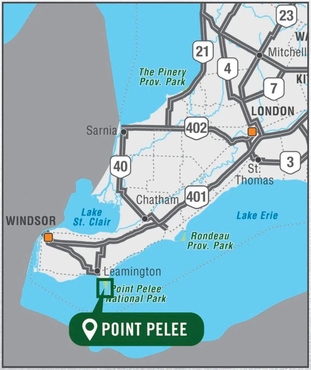 Point Pelee National Park Ontario - Park Map – Buy Online | Premium ...