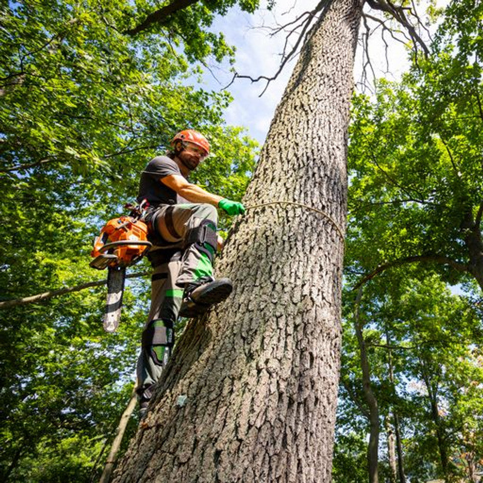 Notch Gecko® Carbon Fiber Climbers (Tree Gaffs) With Straps